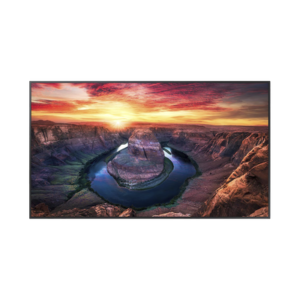 Pantalla Profesional LED de 65", UHD 4K (3840x2160p), Entradas de Video HDMI/DisplayPort, Bocinas Integradas de 10 W. Compatible VESA. Modo de Simulación DICOM